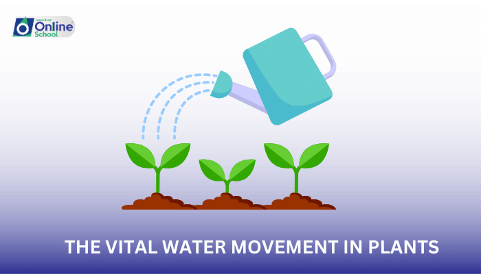 Lesson 02: Transpiration: The Vital Water Movement in Plants